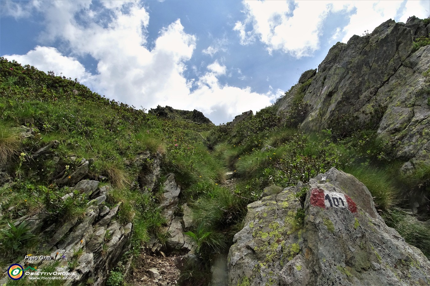 84 Salgo sul 101 al Passo di Piedevalle.JPG